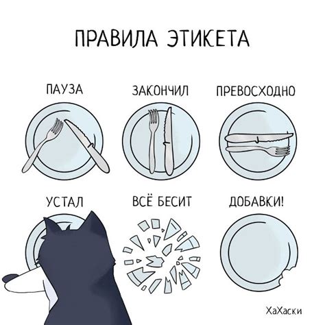 Правила этикета за столом #этикет #сервировкастола #юмор | Humor, Funny ...