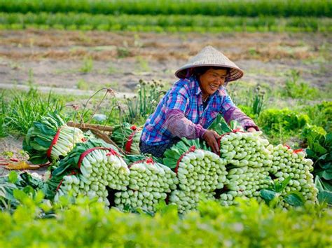 7張圖，看農民的笑臉，越看越想哭 每日頭條