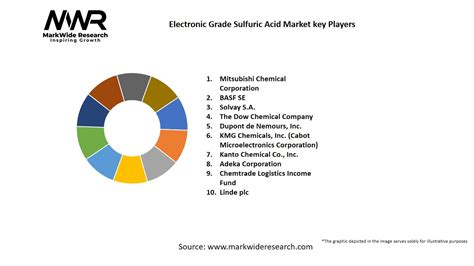 Electronic Grade Sulfuric Acid Market 2024 2032 Size Share Growth