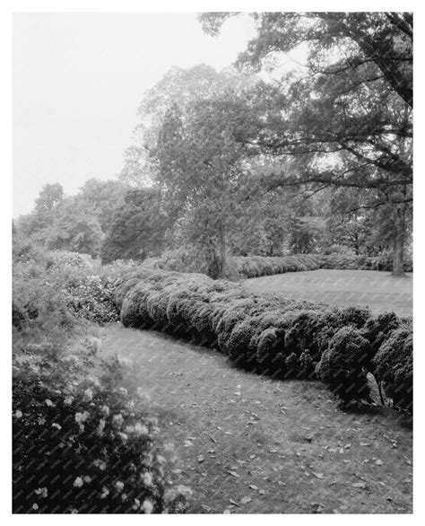 Prince George County Virginia Estate Photo 1800s – KNOWOL