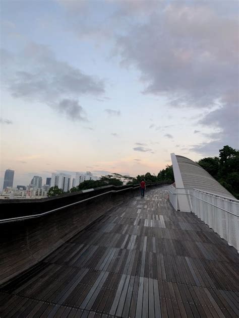 Henderson Waves Bridge in Singapore · Free Stock Photo