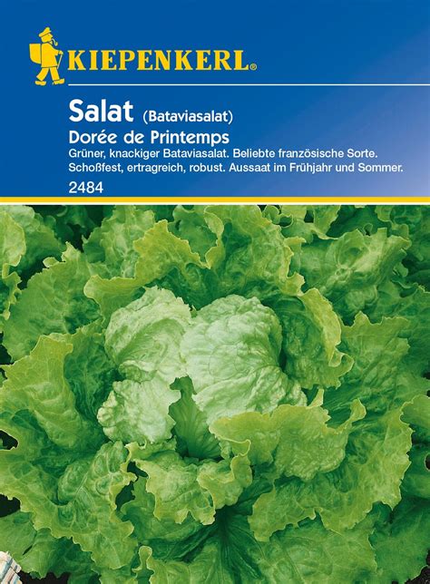 Kiepenkerl Salat Dorée de Printemps kaufen bei OBI