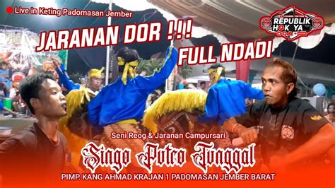 Tari Jaranan Dor Penonton Banyak Yang Ndadi Kesurupan Seni Reog