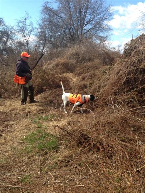 Photo Gallery Game Creek Hunting Farms