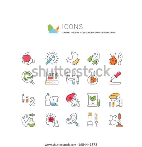 Set Vector Line Icons Sign Symbols Stock Vector Royalty Free