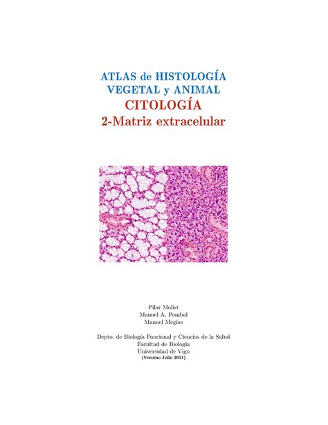 Atlas Celula 02 Matriz Extracelular ATLAS De HISTOLOG IA VEGETAL Y