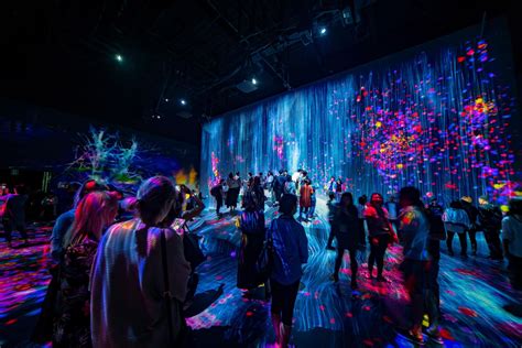 Entertainment Trends Immersive Experiences Dimensional Innovations