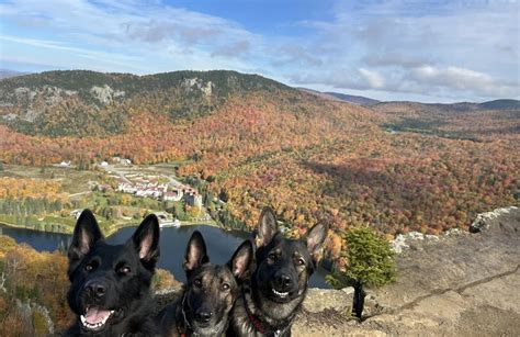 Best hikes and trails in Dixville Notch State Park | AllTrails