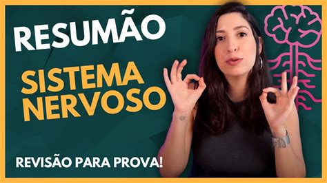 ResumÃo De Sistema Nervoso Youtube