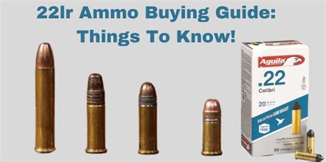 22LR Ammo Buying Guide: Why It's Popular Among New Shooters?