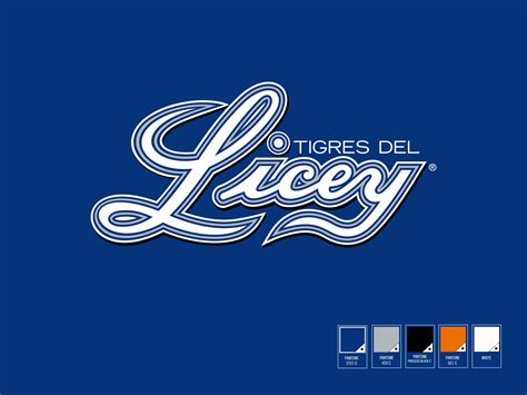 LICEY | Logo Design Contest | LogoTournament