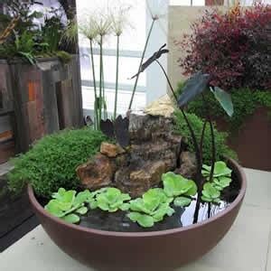 How To Make A Bog Garden In Container Fasci Garden