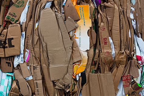 Comment Recycler Le Papier Et Le Carton