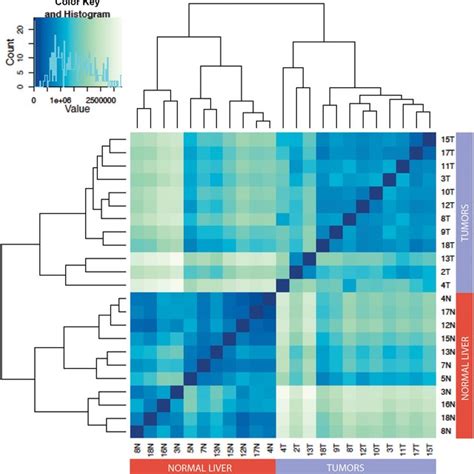 Correlation Matrix Heatmap Showing The Euclidean Distance Between Download Scientific Diagram