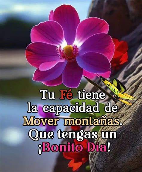 Pin De Melchizedek Halleluyah En Motivaci N Frases Bonitas