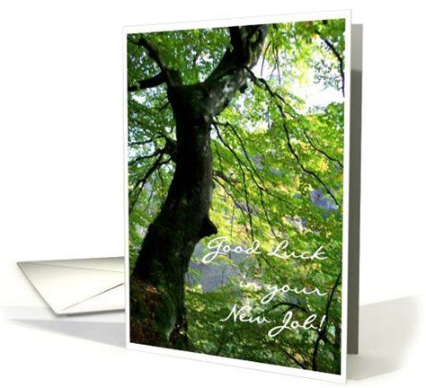 Good Luck in New Job Card - Sunlit Valley: up to $3.50 - http://www.greetingcarduniverse.com ...