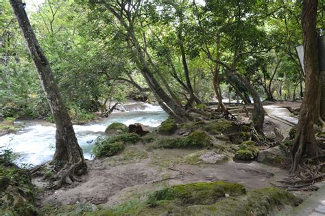 Mexico Rainforest Map