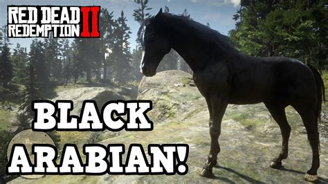 Rdr2 where to find black arabian horse