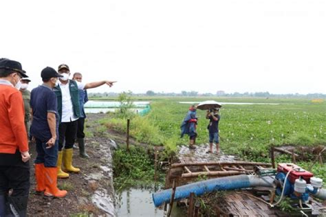 Gawat Rob Mengancam Sidoarjo Pemkab Dikejar Waktu Atasi Banjir