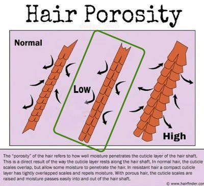 Moisturizing Fine Low Porosity Hair | How to Properly Moisturize and Seal