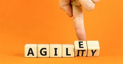 What Is Business Agility Pm Partners