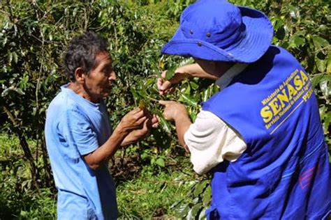 Servicio Nacional De Sanidad Agraria SENASA Norma GMP B2