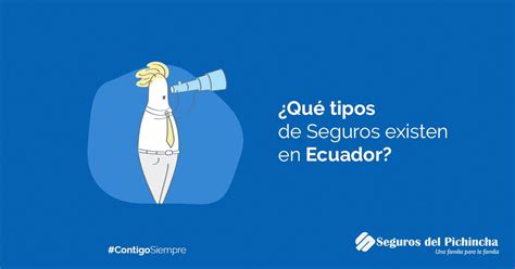 Qu Tipos De Seguros Existen En Ecuador