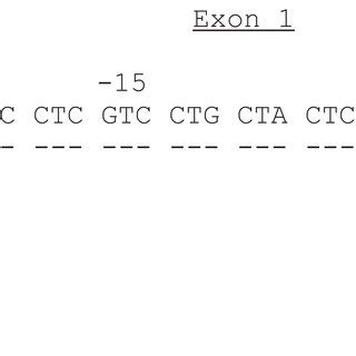 Alignment Of The Sequence Of Exon Of Hlac With The Sequence