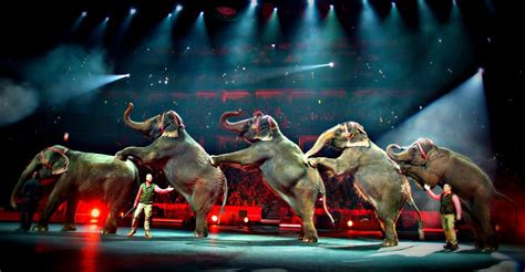 Ringling Brothers And Barnum And Bailey Circus To Stop Elephant Acts By