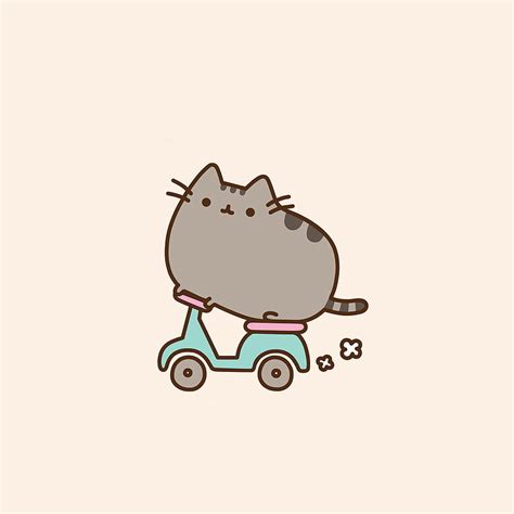 Pusheen Cat Donut Pusheen Hd Phone Wallpaper Pxfuel