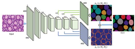 Diagnosing Cancer With Deep Learning And Gpus Nvidia Technical Blog