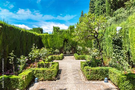 Gardens in Alhambra palace in Granada Stock Photo | Adobe Stock