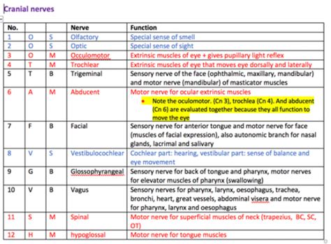 Neuro Path Flashcards Quizlet