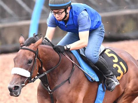 重賞未勝利馬サリエラが凱旋門賞に登録 兄姉にサリオス、サラキアのいる良血馬 競馬ニュース Netkeiba