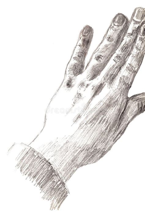 Hand Drawn Illustration Woman Hand Monochrome Pencil Drawing Stock