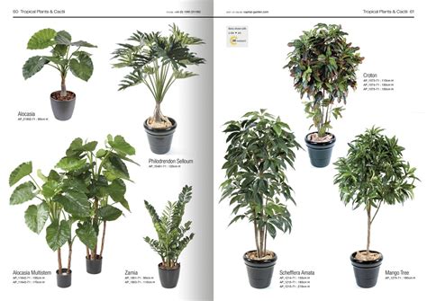 Fake Plants Catalogue Design for Capital Garden Products