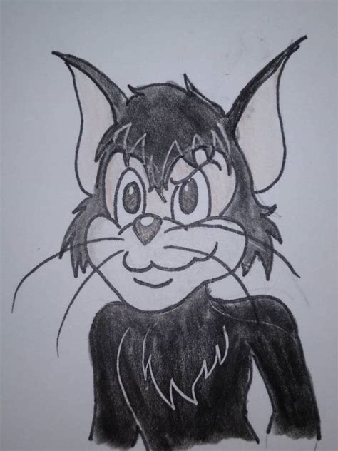 Butch Cat 2021 by FelixNFox on DeviantArt