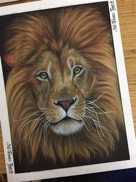 A lion portrait drawing I drew up this time last year. : r/pics