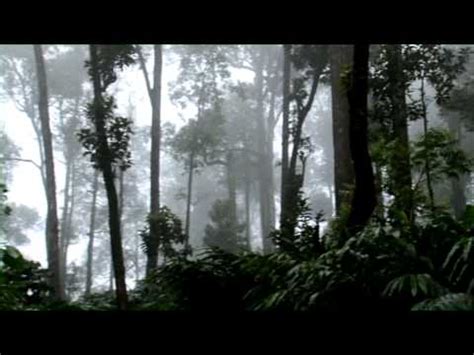 Cardamom Hills, Kerala | DestiMap | Destinations On Map