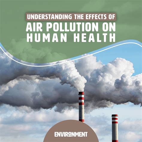 How Does Pollution Affect The Environment And Health At Kenyatta Carvalho Blog