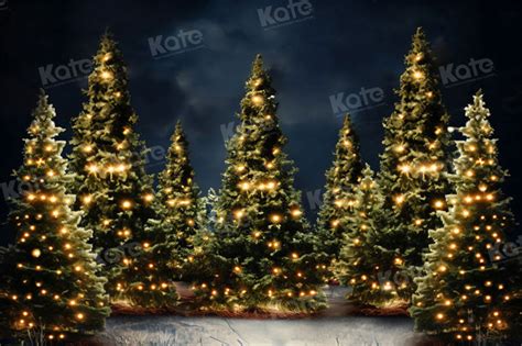 Kate Outdoor String Lights Christmas Tree Backdrop For Photography