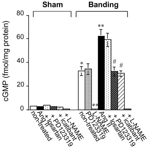 Stimulation Of Cyclic Gmp Production Via At And B Receptors In The