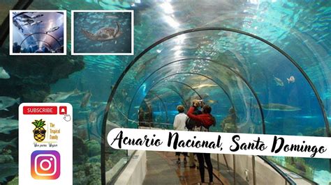 Acuario🐬 Nacional🌊 Santo Domingo Republica Dominicana Parque