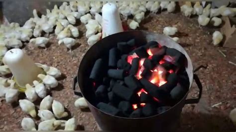 Charcoal Briquettes For Chicken Brooding 2 Youtube