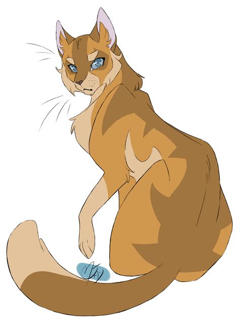 Warrior Drawing Warrior Cat Drawings Warrior Cats Art New Warriors