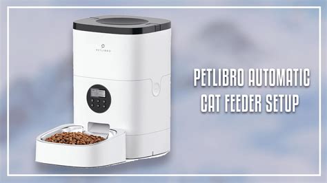 Petlibro Automatic Cat Feeder Setup (Step-by-step Guide)