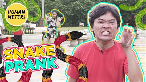 Snake Prank Watch The Funniest Reactions Humanmeter Youtube