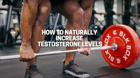 How To Naturally Increase Testosterone Levels New For Great