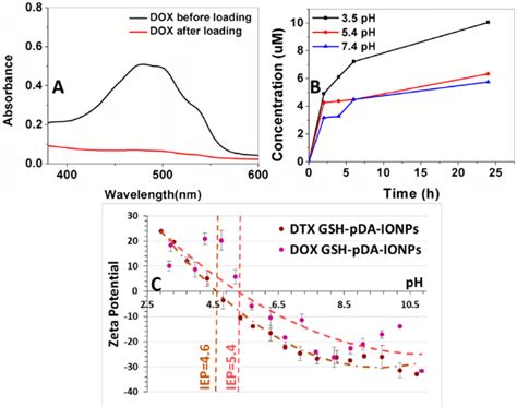 Uv Vis Absorbance Spectra Showing A Doxorubicin Loading On