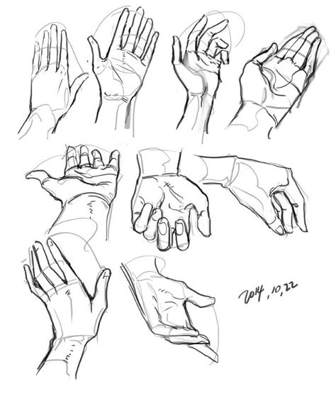 Hand Reference Drawing Picture Drawing Skill